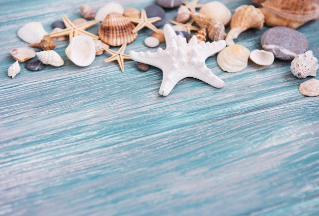 Coquillages sur une table en bois