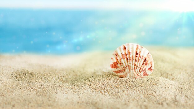 Coquille de couleur sur la plage de sable au-dessus de l'océan turquoise Fond d'été