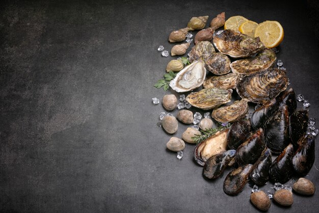 Coquille, moule, huître, palourde, escargot de mer sur fond noir avec espace pour l'écriture