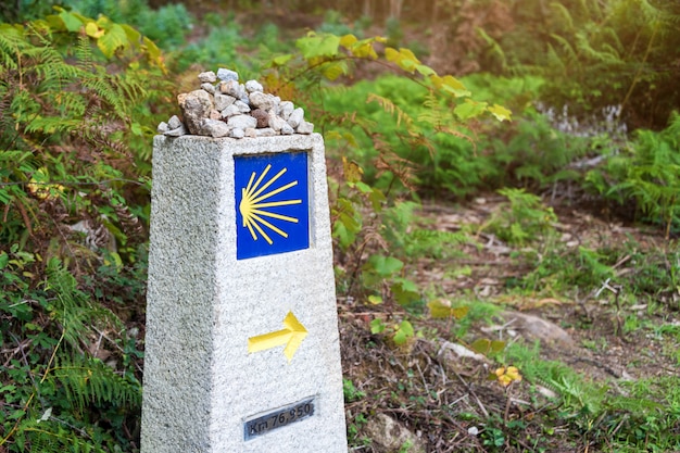 Coquille Saint-Jacques jaune, symbole touristique du Camino de Santiago indiquant la direction sur le Camino Norte en Espagne.