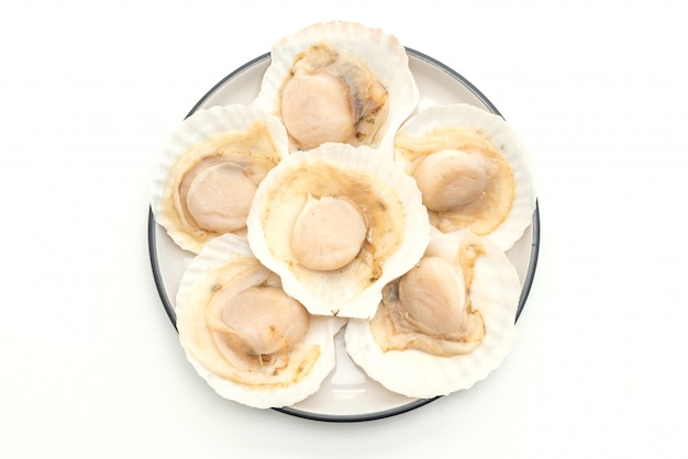 coquille Saint-Jacques