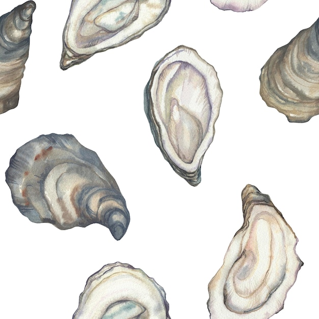 Coquilles d'huîtres aquarelles sur fond blanc Modèle sans couture pour l'invitation de recettes de menu de restaurant