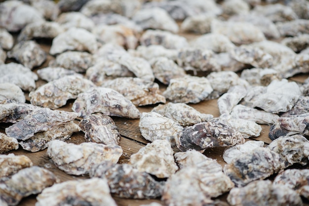 Coquilles d'huîtres dans un chariot en bois.