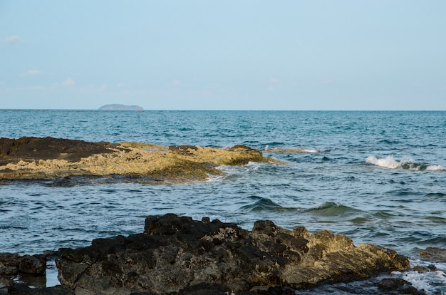 Photo corail noir à la mer bleue