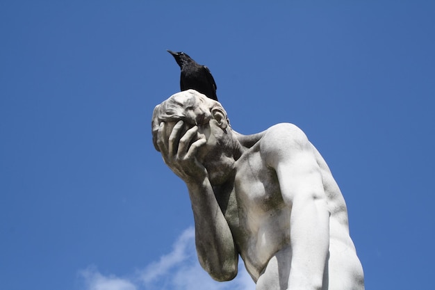 Photo un corbeau assis sur une statue contre le ciel bleu