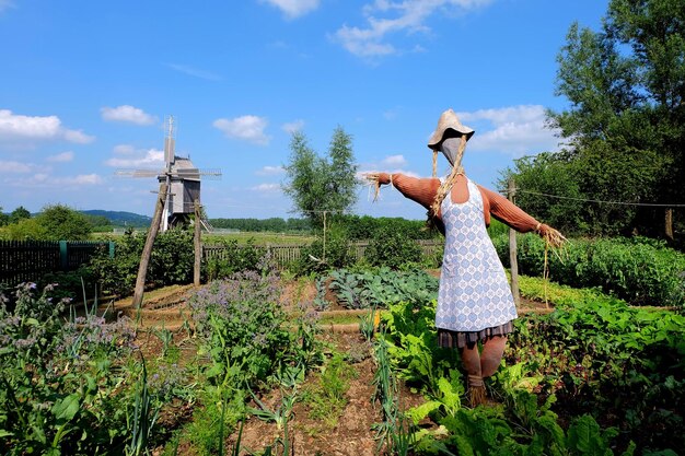 Photo un corbeau marqué sur un champ agricole par un moulin à vent traditionnel contre le ciel