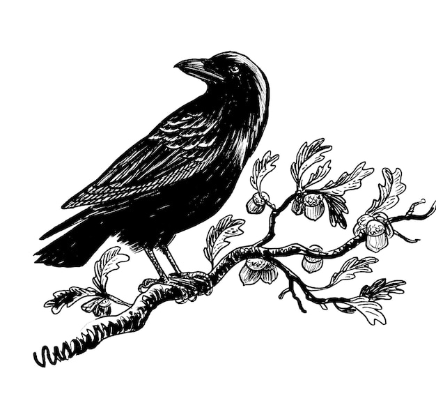 Un corbeau noir est assis sur une branche avec les mots " corbeau " dessus.