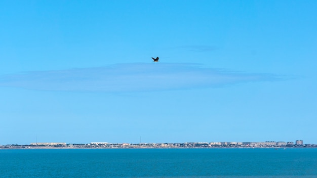 Corbeau volant au-dessus de la mer bleue