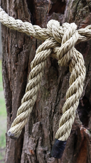 Une corde brune nouée solidement à un tronc d'arbre solide