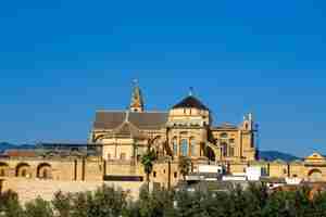 Photo cordoue, espagne. mosquée-cathédrale de cordoue de. fermer.