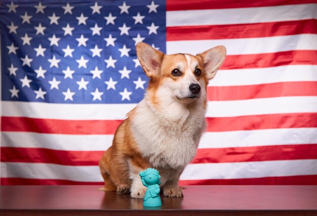 Photo le corgi et la statue de la liberté sont isolés devant le drapeau américain