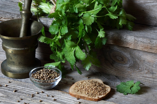 Photo coriandre - moulue, grains et feuilles vertes sur la table de la cuisine