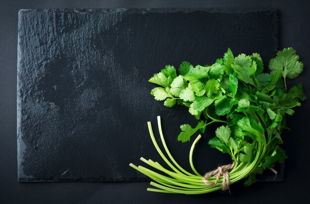 Coriandre verte fraîche, feuilles de coriandre sur un tableau noir. Mise au point sélective.