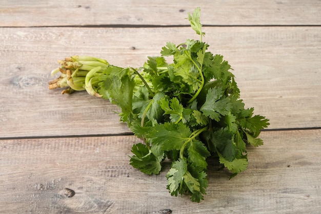 La coriandre verte laisse un tas d'herbes