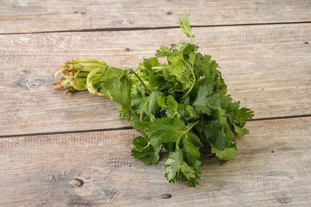 La coriandre verte laisse un tas d'herbes