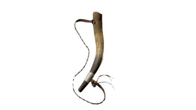 Une corne en bois avec un long cou et une longue corde.