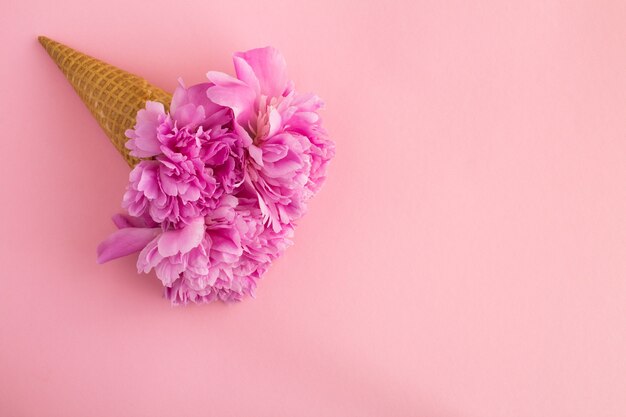 Cornet de crème glacée aux pivoines roses sur rose