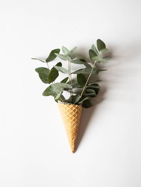 Cornet de glace gaufré avec brindilles d'eucalyptus vert