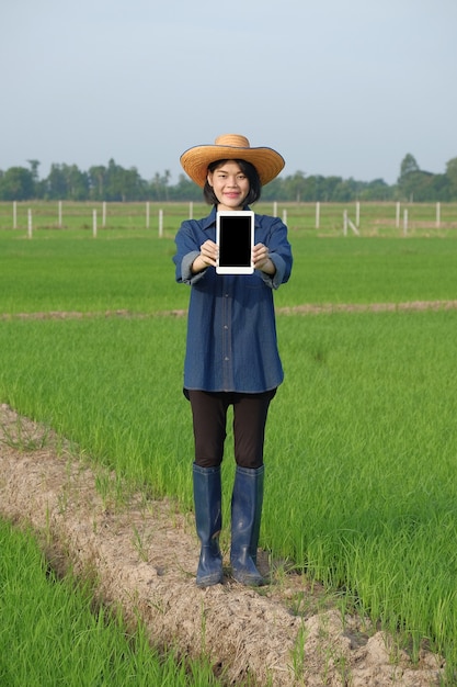 Le corps entier d'une agricultrice asiatique debout et tenant une tablette pour smartphone dans une ferme de riz vert