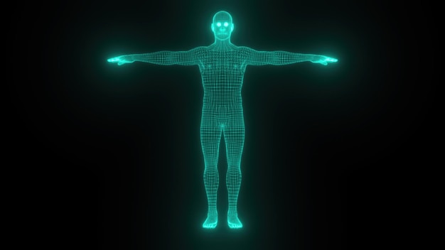 Le corps est un réseau numérique généré par ordinateur.