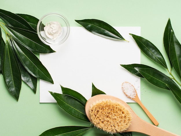 Cosmétique biologique naturelle et brosse de bain mise à plat avec des feuilles sur fond vert menthe