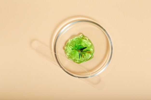 Cosmétiques naturels en gel d'aloès pour la cosmétologie. Gel vert Ingrédients d'herbes médicales dans la verrerie de laboratoire. Produits cosmétiques de soin de la peau dans des boîtes de Pétri sur fond beige. Vue de dessus.