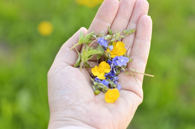 Cosmétiques naturels pour les mains mains antirides Beauté naturelle d'une femme