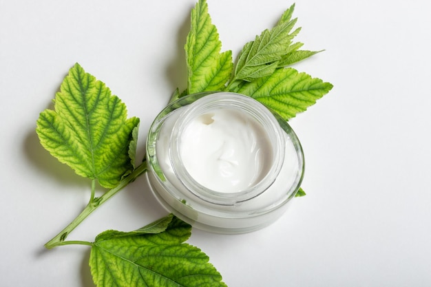 Cosmétiques pour femmes avec des ingrédients naturels Moyens pour les soins de la peau du visage et du corps Tube de crème pour le visage écologique sur fond blanc avec des herbes fraîches Disposition de l'espace de copie