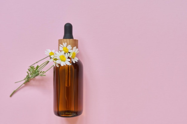 Cosmétologie, traitement, soins de la peau, beauté, produit cosmétique biologique naturel en bouteille avec des fleurs de camomille sur fond rose, vue de dessus