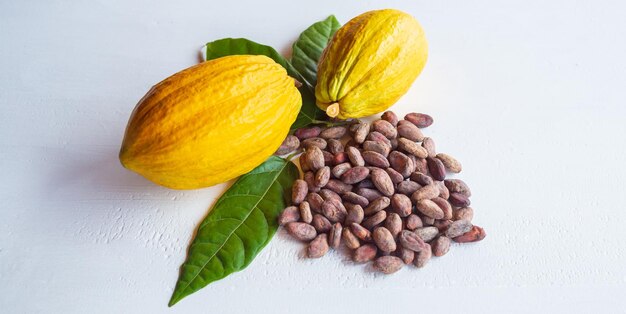 Cosses de cacao fraîches mûres et fèves de cacao brunes sèches avec feuille de cacao verte sur fond de bois blanc