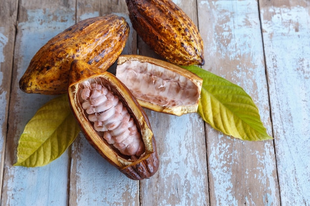 Cosses de cacao frais et feuilles de cacao sur fond de bois