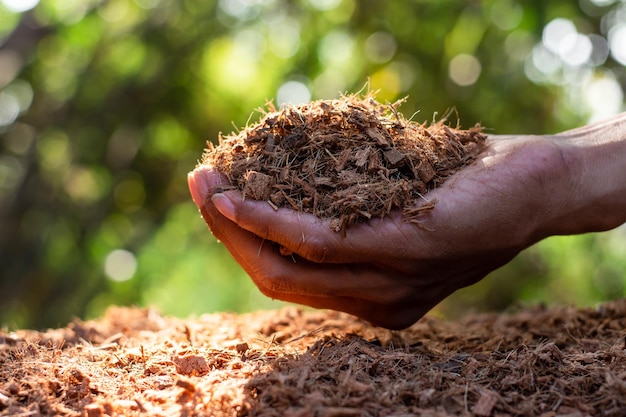 Photo cosses de noix de coco fines pour fertiliser pour planter des arbres entre les mains des hommes
