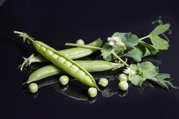 Cosses vertes de pois sur un fond noir avec des pois