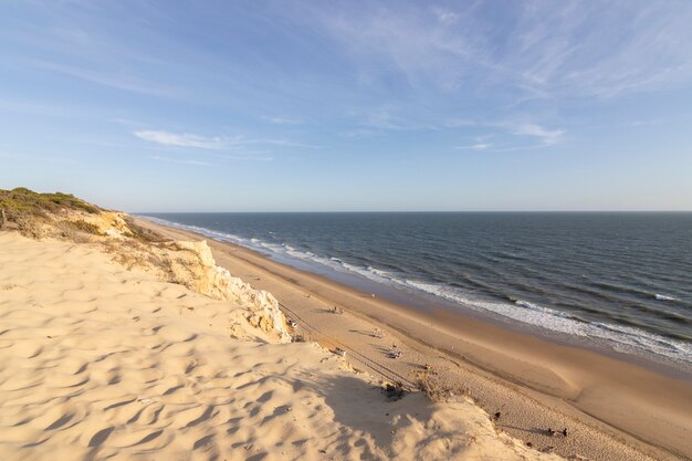 Côte avec falaises dunes pins végétation verte