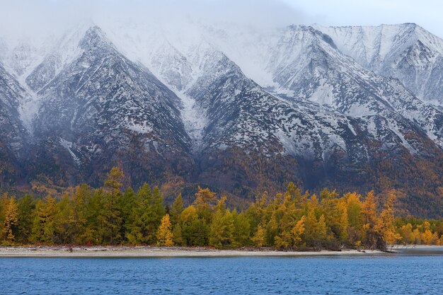 Photo côte avec forêt d'automne sur fond de montagnes, gros plan