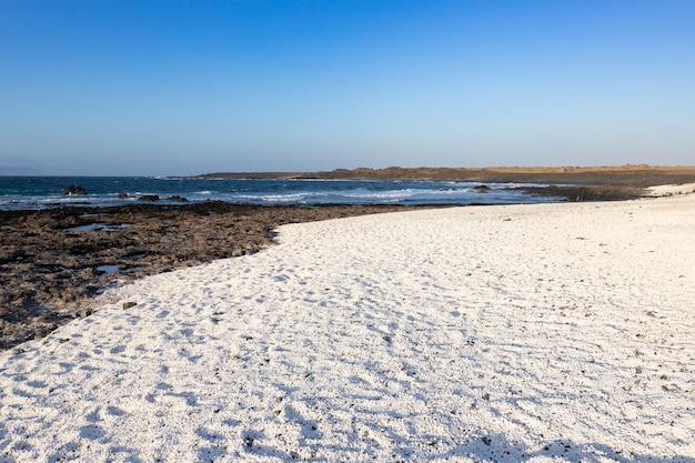 Côte de Fuerteventura, plage de rhodolites