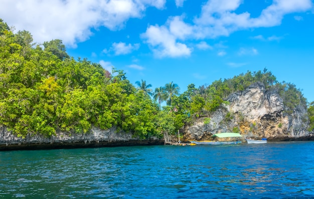 Côte d'une île tropicale rocheuse par une journée ensoleillée. Petite jetée et bateaux. Toits d'un petit village dans les fourrés parmi les palmiers