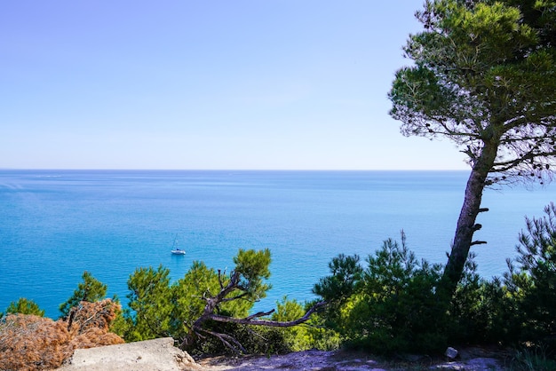 Côte de Leucate en mer du sud horizon méditerranéen Pyrénées Orientales en Languedoc-Roussillon France