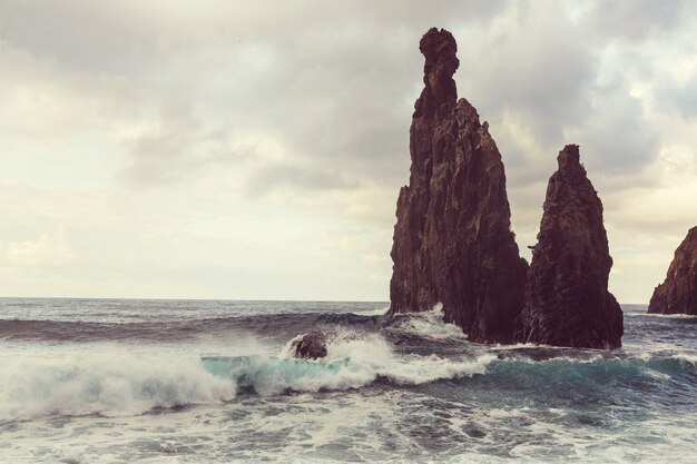 Côte de Madère