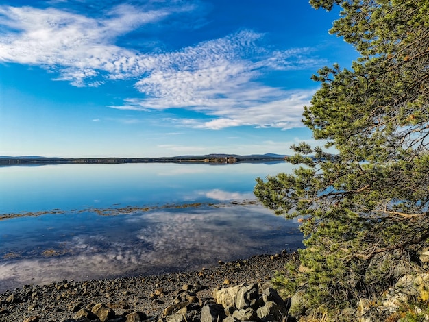 La côte de la mer Blanche avec des arbres au premier plan et des pierres dans l'eau lors d'une journée ensoleillée Carélie