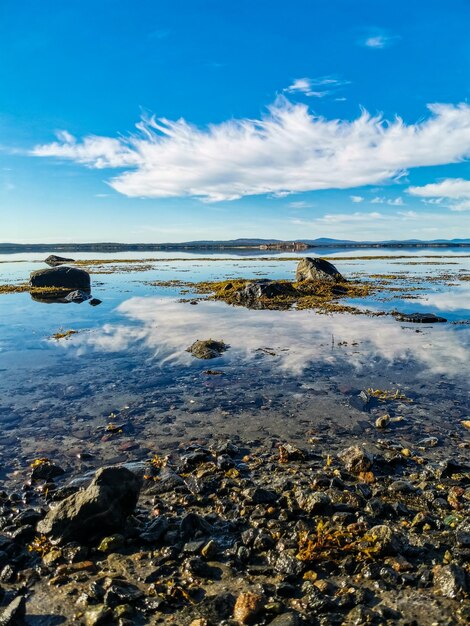 La côte de la mer Blanche par une journée ensoleillée Les rayons du soleil Carélie 2021 Russie