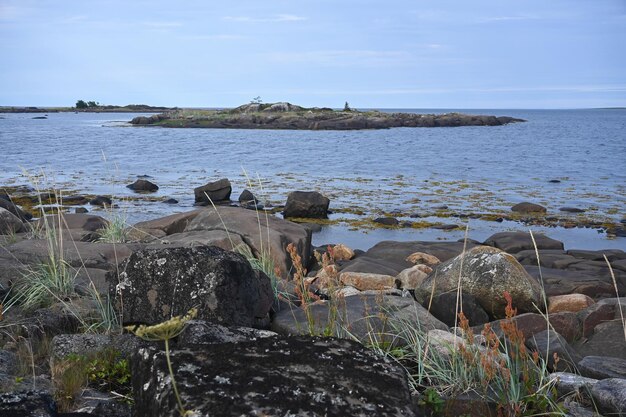 La côte de la mer Blanche