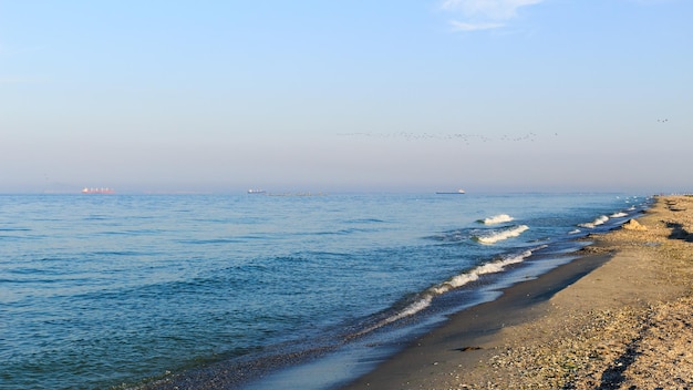 Côte de la mer et ciel bleu oiseaux de plage dans le ciel navires à l'horizon