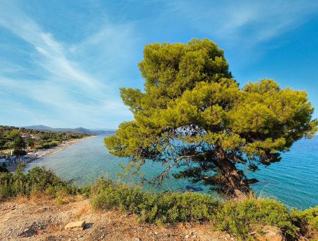 Photo côte de mer d'été halkidiki grèce