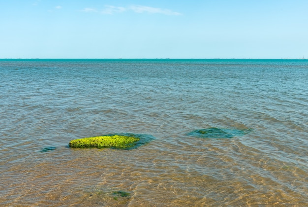 Côte de la mer peu profonde