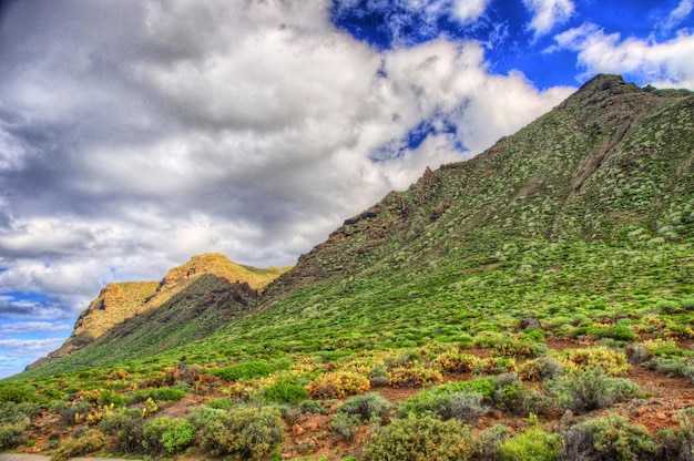 Côte nord-ouest de Tenerife près du phare de Punto Teno Îles Canaries