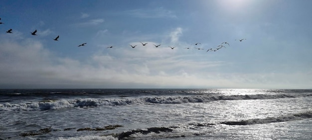 Côte de l'océan Pacifique en Californie