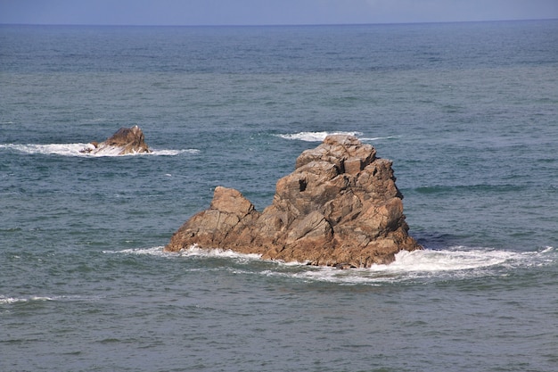 Côte ouest, sur, île sud, nouvelle zélande