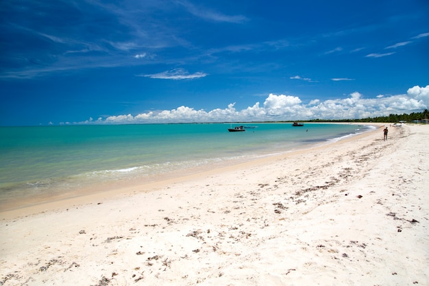 Côte de la plage brésilienne lors d'une journée ensoleillée à Corumbau,