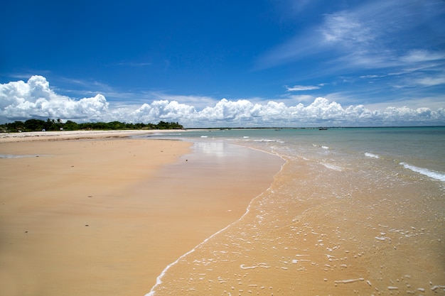 Côte de la plage brésilienne lors d'une journée ensoleillée à Corumbau,